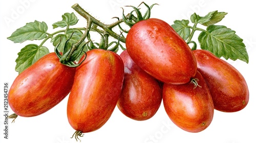 Vineripened oval red fruits with green leaves on a white background.
