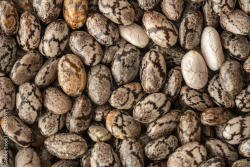 chia seeds close-up