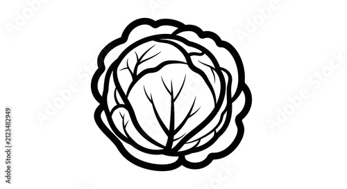 Black line art of a cabbage on white background with illustration cabbage ingredient vegetable stylized healthy cooking grocery produce with drawing