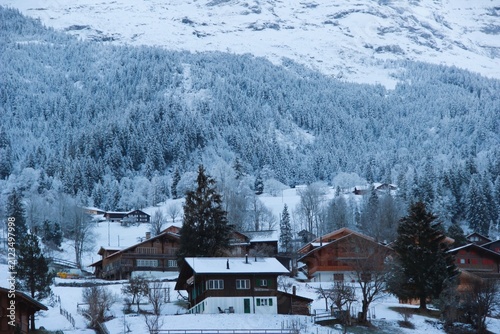Photography house in the mountains
