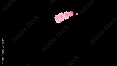 Pink floral heart appearing and dissolving on transparent background.

Romantic flower animation loop for wedding and Valentine video overlay