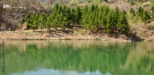 Принти на полотні Evergreen trees reflected in a tranquil green lake in a peaceful spring landscap
