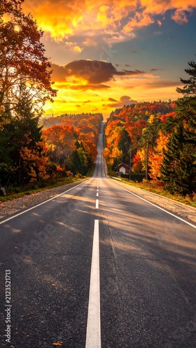 A serene autumnal road stretching into the distance, lined with vibrant orange and green trees under a warm sunset