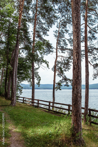 Scenic view of lake framed by tall pine trees and a wooden fence, with rolling hills in the distance and a tranquil water surface