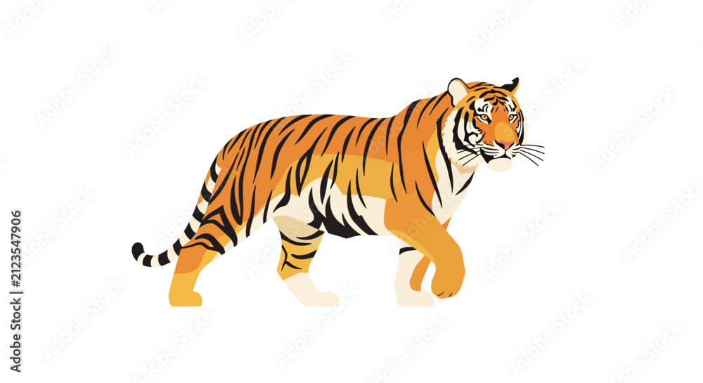Obraz premium Tiger walking in profile view.