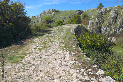 Fotografía old stone road surface with grass of the bridge Ovciji Brod, Bratac, Nevesinje