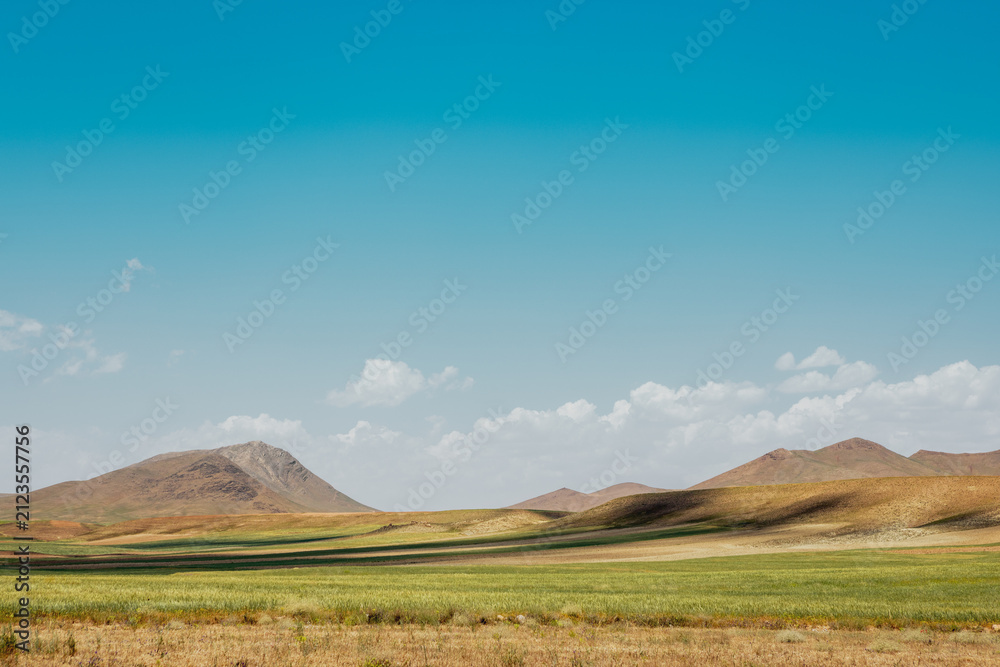 Obraz premium Panoramic view of the Iranian countryside featuring rolling green plains, golden grasslands, and rugged mountains beneath a vivid blue sky with scattered clouds.
