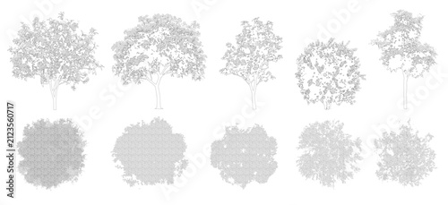 Vector pack of trees in elevation and plan view for use in architectural drawings	