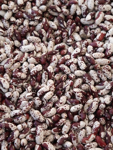 Cranberry beans showing speckled pattern and rich colors