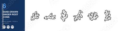 Ginger Root Icons, a Set of Hand-Drawn Illustrations Depicting Various Shapes and Forms of Ginger Root. Botanical Sketch Style, Monochrome Design.