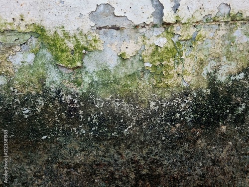 Принти на полотні Mossy wall with damp stains, dirt buildup, and weathered concrete surface caused by prolonged rain exposure, creating a natural grunge texture background