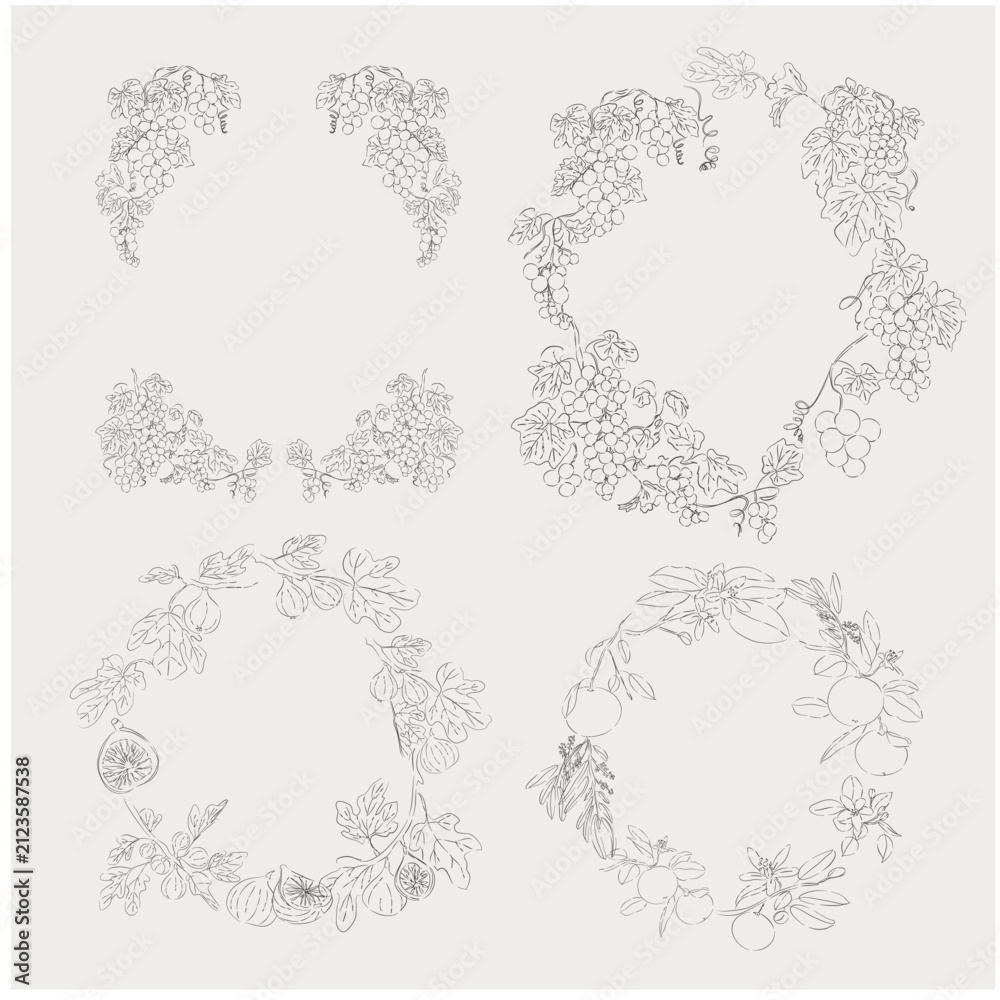 Obraz premium Botanical Wreath Collection with Grapevine and Fig