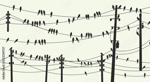Detailed silhouette of many small birds perched on electrical power lines and poles against a light pale green sky.
