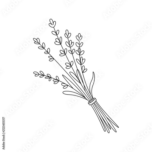 Simple black line drawing floral bouquet stems leaves petals lavender sprig bunch.