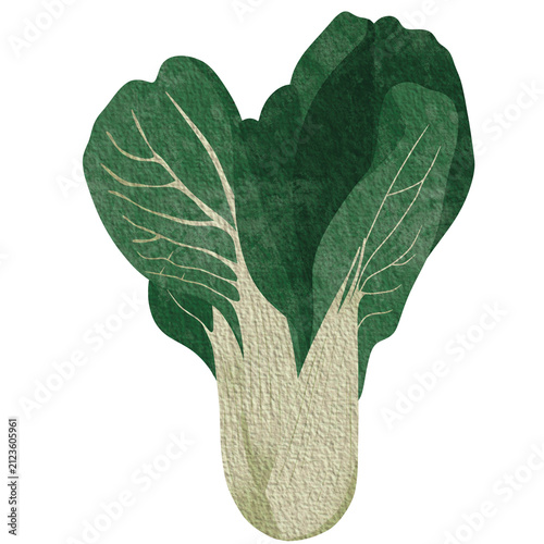 Canvastavla Bok Choy Illustration Clipart
