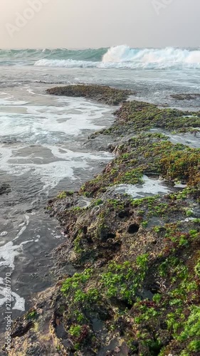 Close Up Ocean Waves Flowing Over Mossy Coastal Rocks at Tropical Beach
