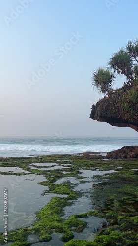 Ocean Waves Breaking Along Mossy Rock Shore at Tropical Beach During Sunset