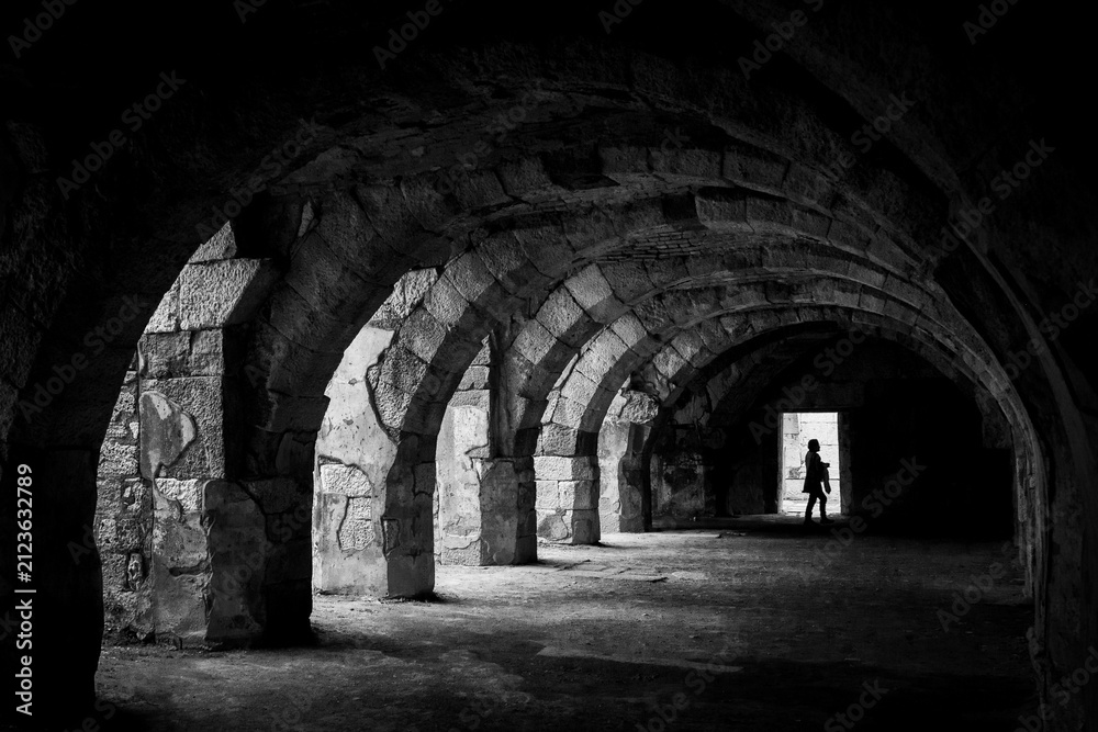 Naklejka premium arches of the ancient castle