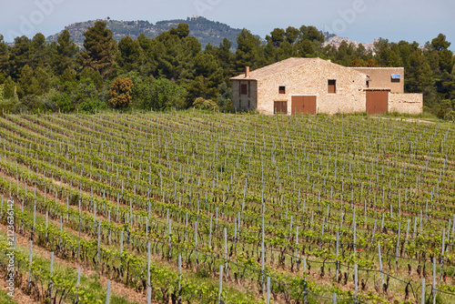 Traditional stone wine cellar and vineyards in Teruel. Spanish agriculture