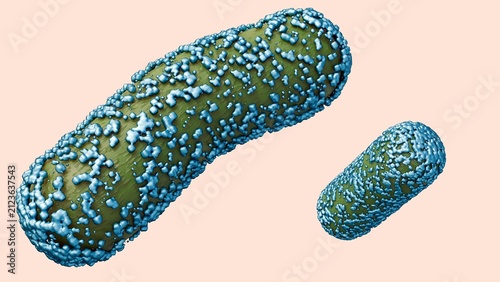 Cuadro en lienzo A 3d rendering of rod-shaped bacteria encrusted with surface mineral deposits