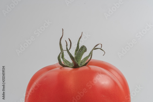 tomato on a white background