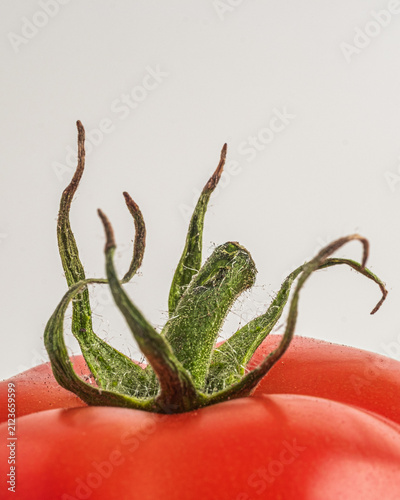 red tomato isolated on white
