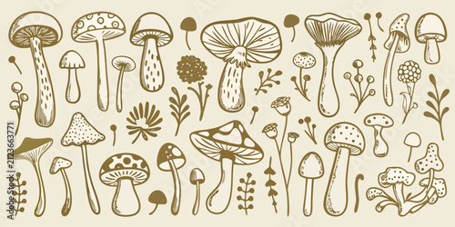 Фотография Variety Of Mushroom Species Hand drawn Vector Illustration On Beige Background