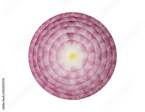 Red Onion Slice Cross Section Transparent Background