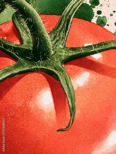 The hairy stems and calyx of the red tomato fruit have green stains
