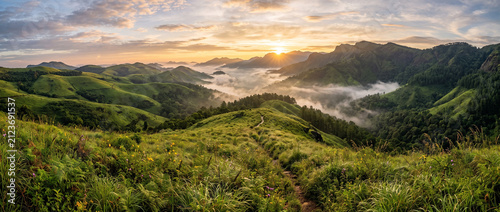 Lush Cardamom Hills featuring aromatic spice plantations, mist-covered mountain slopes and breathtaking tropical scenery in Idukki Kerala India