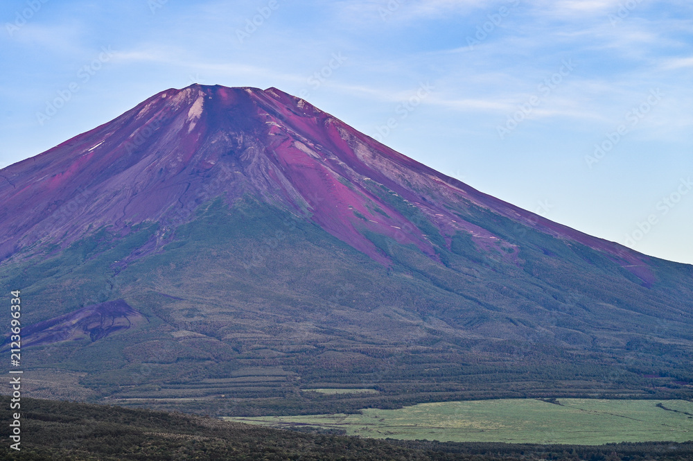Fototapeta premium 日本山梨山中湖パノラマ台からの富士山