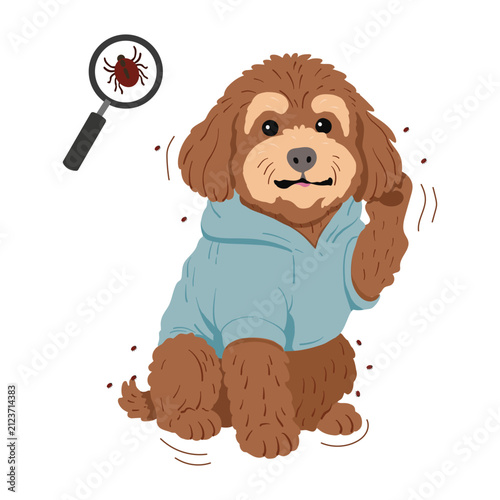 Konstfotografi Cute flat vector illustration of brown toy poodle in blue sweatshirt scratching ear from fleas and ticks, holding magnifying glass and tick isolated on white background, pet care concept