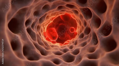 3D Animation Showing Inside Human Bone Structure with Spongy Trabecular Bone and Red Bone Marrow.