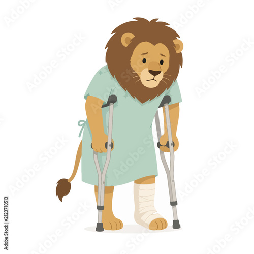 Cute Injured Lion Walking with Crutches in Hospital Gown Vector
