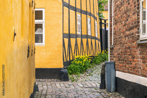 фотографія Layered building heritage lines a narrow cobbled lane between yellow half timbered facade and red brick wall in Ribe for Danish architecture, local history and travel themes