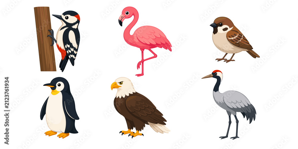 Obraz premium Set of six colorful cartoon bird illustrations on white
