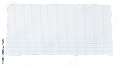 Canvastavla Torn graph paper with blue grid lines, isolated on transparent background