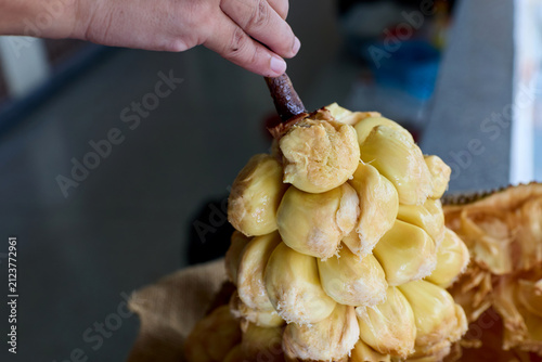 Cut Open Chempedak Showing Yellow Fruit Segments 