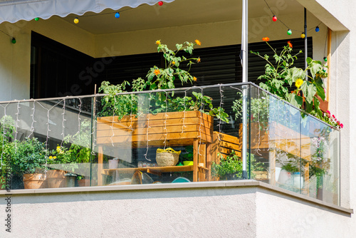 Balcony garden filled with plants and flowers during daylight hours in an urban setting