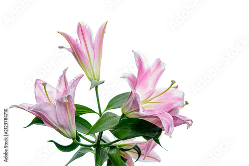bouquet of pink lilies