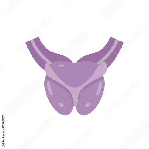 Human endocrine gland illustration, thyroid and parathyroid glands vector icon