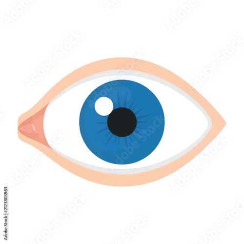 Vector illustration of a blue human eye, visual organ icon representing vision and sight