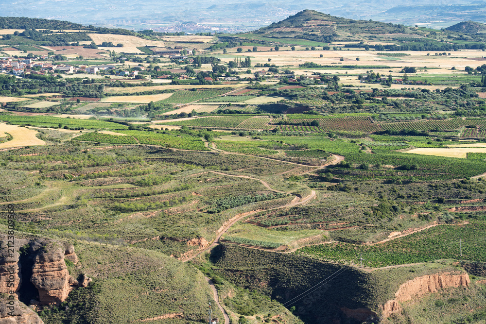 Obraz premium Patchwork Vineyards and Farmland Near Islallana