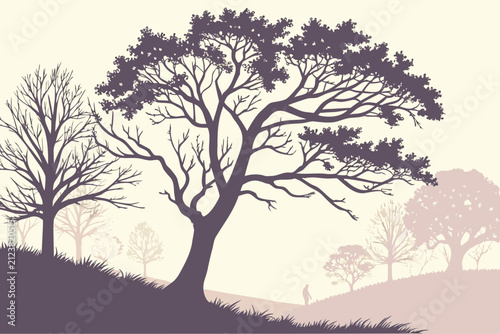 Minimalist pastel gradient landscape with trees. Serene nature scene with silhouette trees and soft background colors.