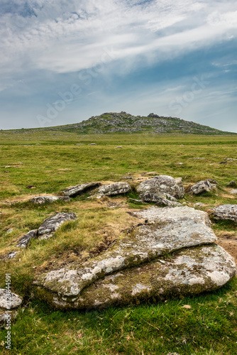 Lovely Summer day landscape...