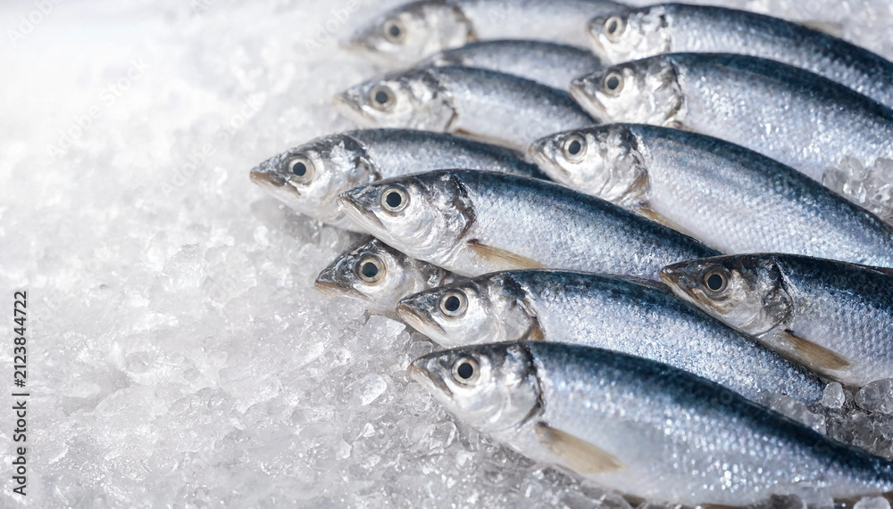 Obraz premium Several fresh silver fish arranged on crushed ice, displayed for sale with visible scales and eyes. Cold textured background provides copy space for text or labels.