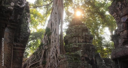 Jungle Reclaims Ancient Khmer Temple Mystical Ta Prohm Angkor
