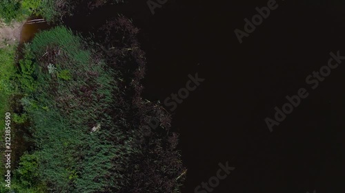 A rightward rotation takeoff with the camera down over the surface of a small reed-covered lake on a sunny summer day. Lake Berezovoe, Novosibirsk, Russia.
