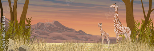vector, landscape, panorama, panoramic, banner, header, wide, horizontal, duck, mallard, anas, platyrhynchos, duckling, drake, female, family, pond, lake, river, wetlands, shore, beach, sand, sunset, 