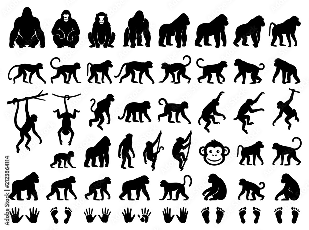 Fototapeta premium Primate Silhouettes Collection: Monkeys, Apes, Gorillas, and Footprints